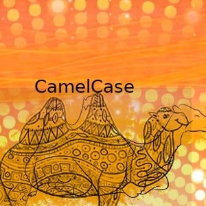 imagem referente a O que é o padrão camelCase?