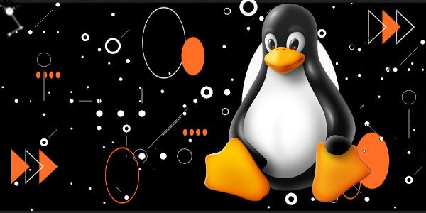 Como alterar documentos de texto e salva-los, no terminal Linux?