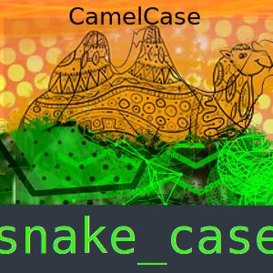 imagem referente a camelCase ou snake_case quando usar cada um?